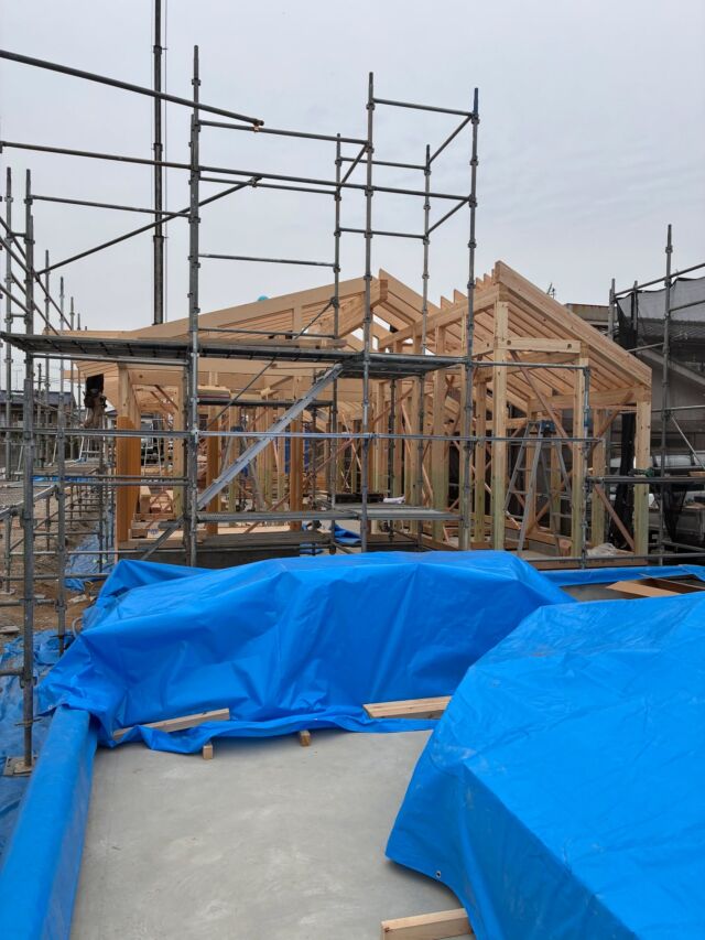 .
.
.
【M様オフィス新築工事｜vol.10 上棟】
.
.
.
本日、上棟いたしました。
施主様におかれましては、誠におめでとうございます。
.
構造フレームが立ち上がり、
スケールやプロポーションが実寸で確認できる重要な工程です。
.
構造検討を重ね、
見えなくなる部分まで丁寧に設計しています。
ここからさらに空間の質を高めていきます。
.
.
#上棟#家づくり#設計事務所#木造住宅#新築住宅#注文住宅#建築#現場記録#建築好き#暮らしをつくる#社屋新築工事#平屋#広島店舗デザイン#広島の設計事務所#店舗開業サポート#ヌードエレメンタリー#一級建築士事務所#福山市店舗設計#福山市店舗デザイン#officedesign #designprocess #architecturestudio